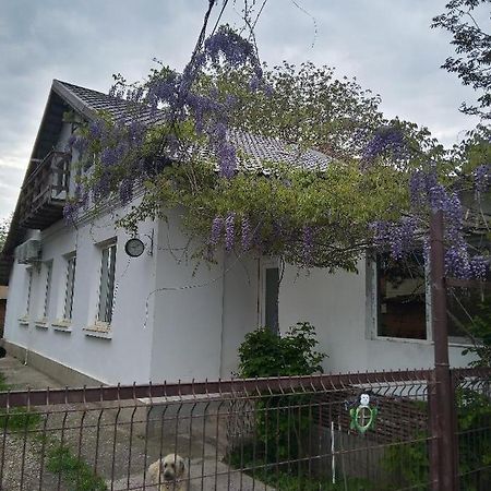 Casa Mocanu Giurgiu Bagian luar foto