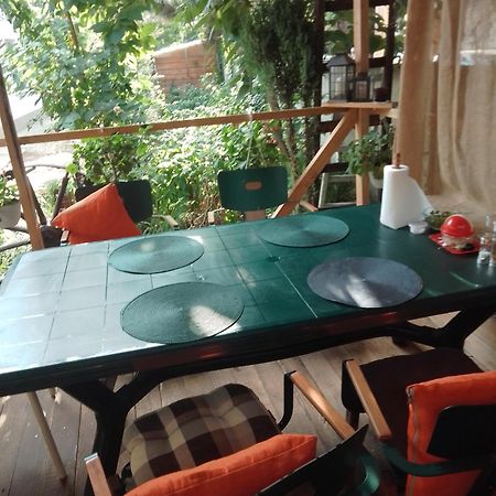 Casa Mocanu Giurgiu Bagian luar foto