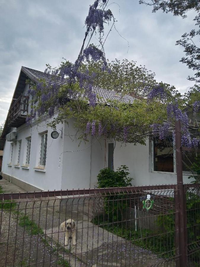 Casa Mocanu Giurgiu Bagian luar foto