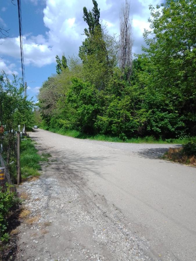 Casa Mocanu Giurgiu Bagian luar foto