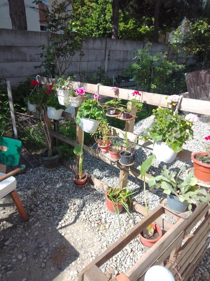 Casa Mocanu Giurgiu Bagian luar foto