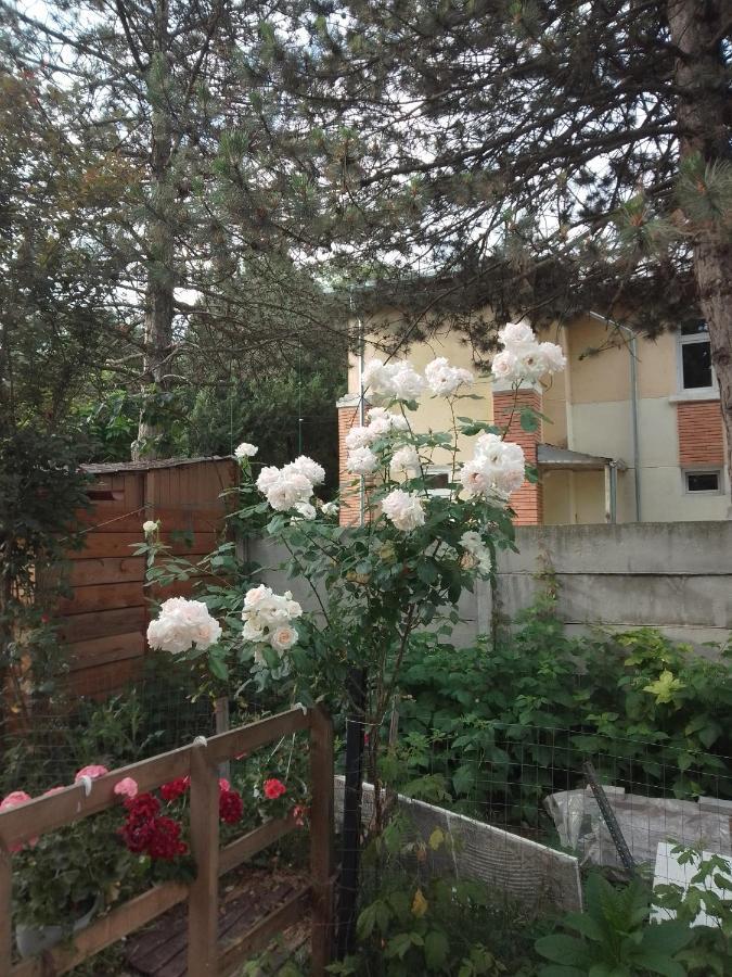 Casa Mocanu Giurgiu Bagian luar foto