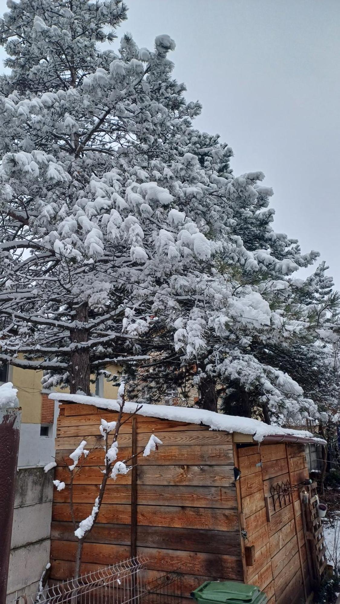 Casa Mocanu Giurgiu Bagian luar foto