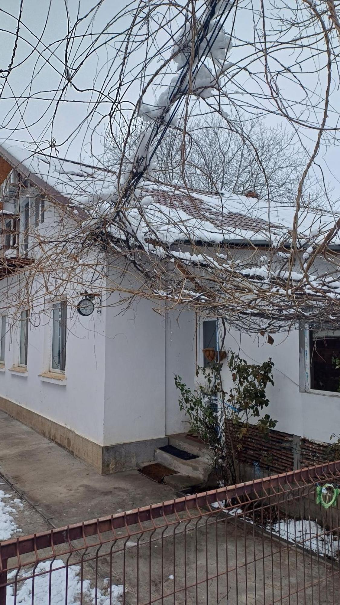 Casa Mocanu Giurgiu Bagian luar foto