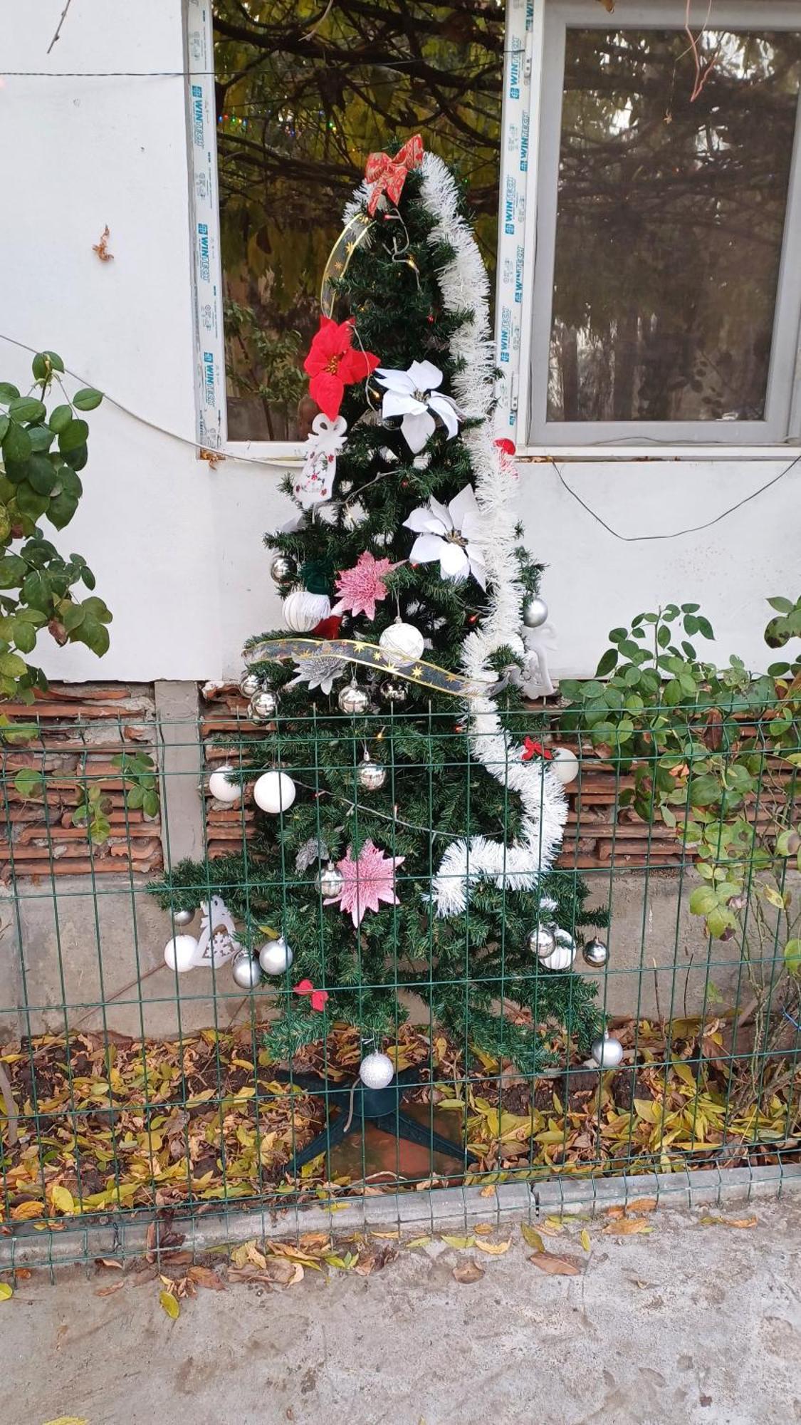 Casa Mocanu Giurgiu Bagian luar foto