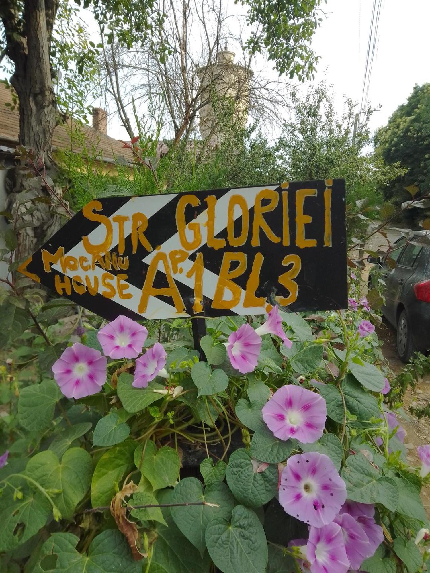 Casa Mocanu Giurgiu Bagian luar foto