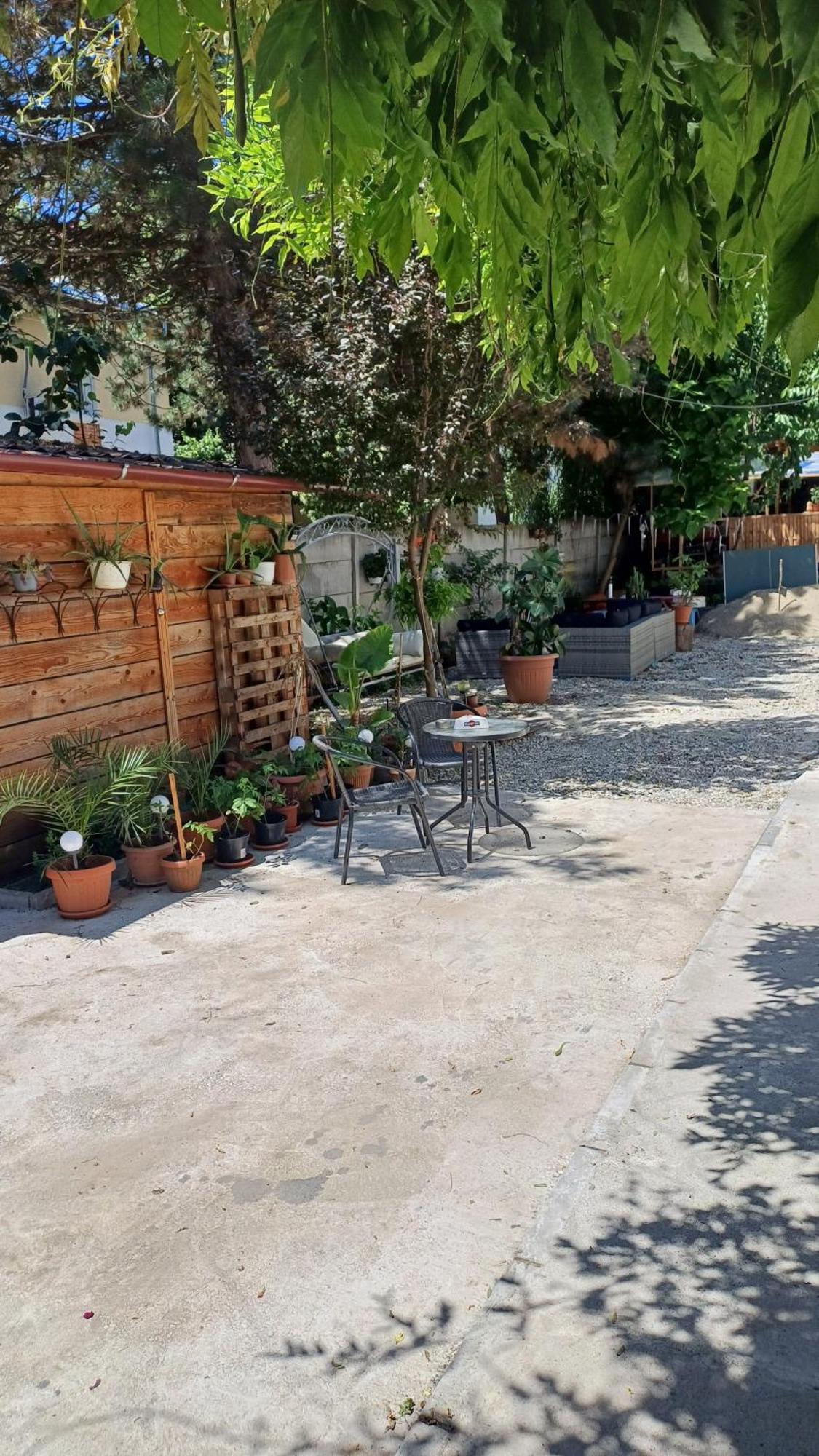 Casa Mocanu Giurgiu Bagian luar foto